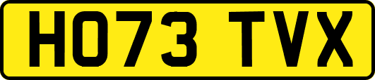 HO73TVX