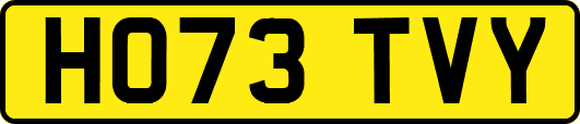 HO73TVY