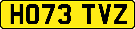 HO73TVZ