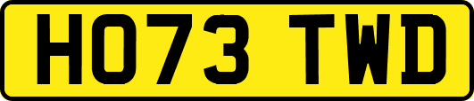 HO73TWD