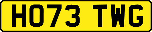 HO73TWG