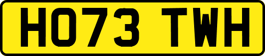 HO73TWH