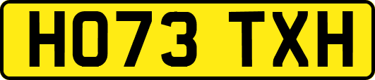 HO73TXH