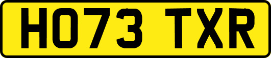 HO73TXR