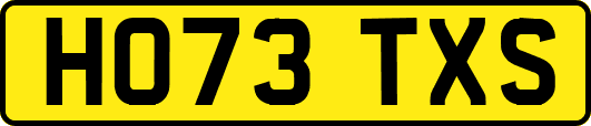 HO73TXS