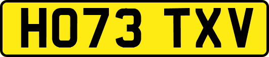 HO73TXV