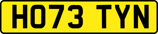 HO73TYN