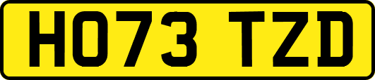 HO73TZD