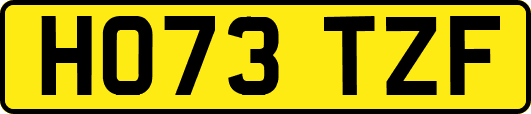 HO73TZF