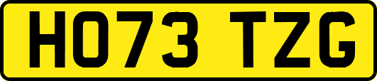 HO73TZG