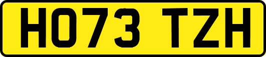 HO73TZH