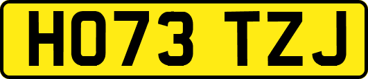 HO73TZJ