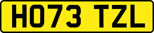 HO73TZL