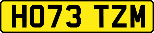HO73TZM