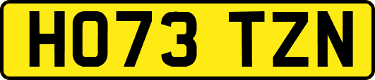 HO73TZN