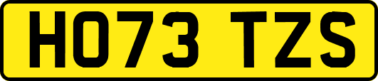 HO73TZS