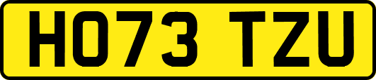 HO73TZU