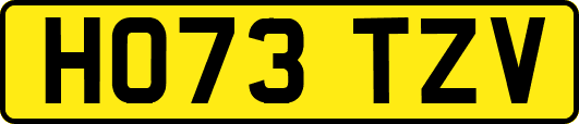 HO73TZV