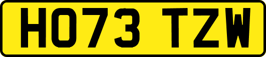 HO73TZW