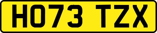 HO73TZX