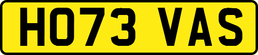 HO73VAS