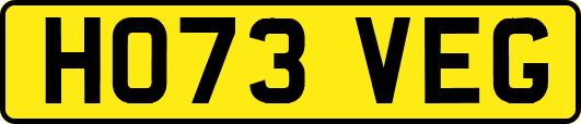 HO73VEG
