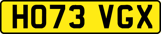 HO73VGX