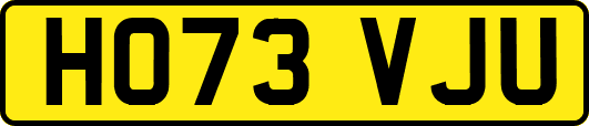 HO73VJU