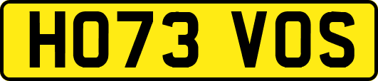 HO73VOS