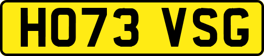 HO73VSG
