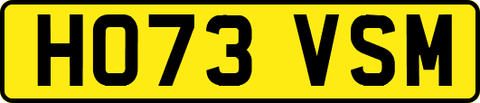 HO73VSM