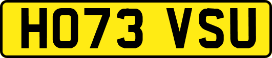 HO73VSU