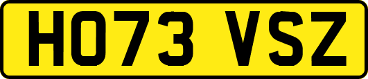 HO73VSZ