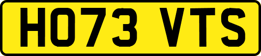 HO73VTS
