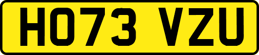 HO73VZU