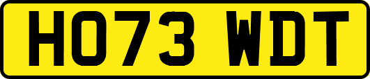 HO73WDT