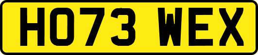 HO73WEX