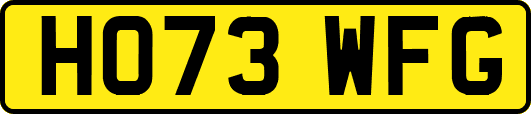 HO73WFG