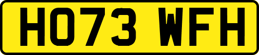 HO73WFH