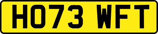 HO73WFT
