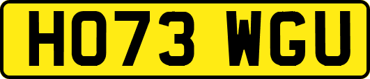 HO73WGU