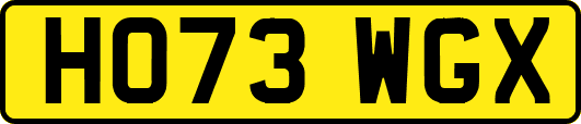 HO73WGX