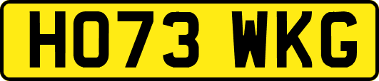HO73WKG