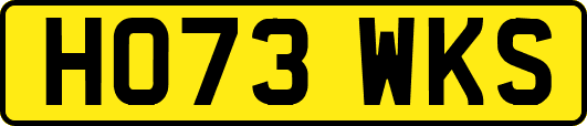 HO73WKS