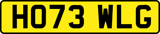 HO73WLG