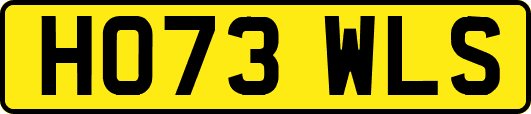 HO73WLS