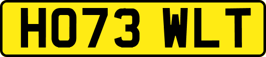 HO73WLT