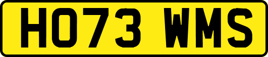HO73WMS