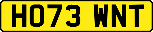HO73WNT