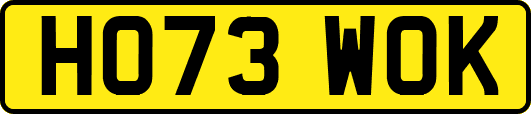HO73WOK